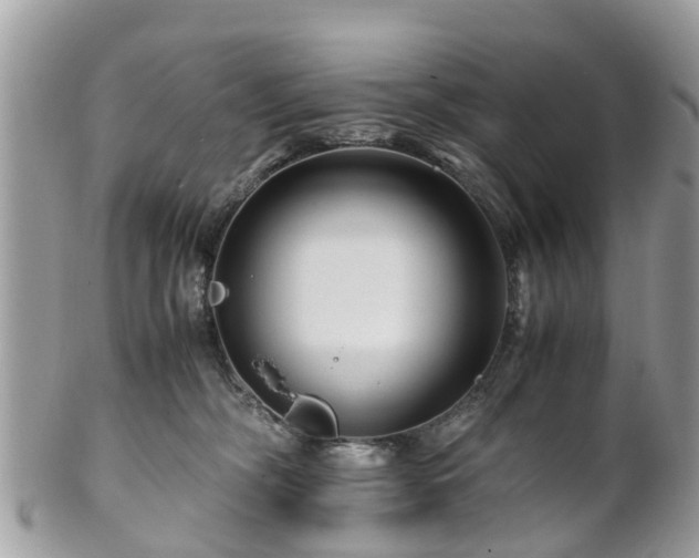 X0000101170326200807071227