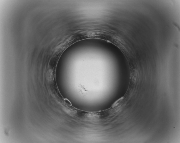 X0000101170327200807071227