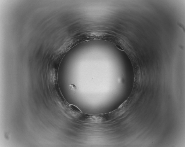 X0000101170328200807071227