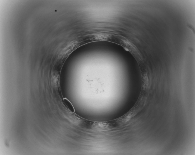 X0000101170329200807071227