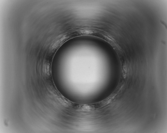 X0000101170330200807071227