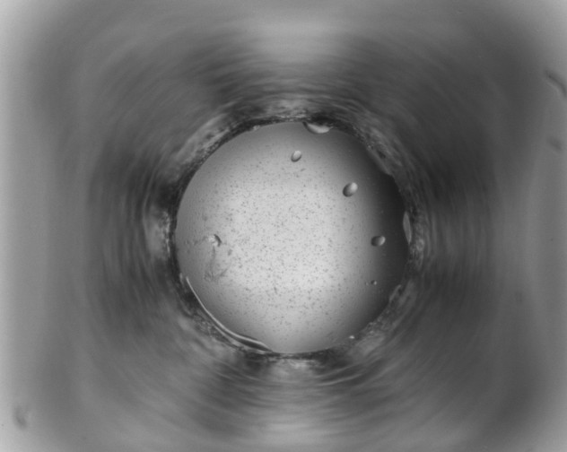 X0000101170332200807071227