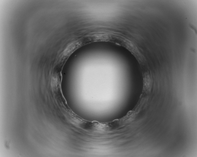 X0000101170333200807071227