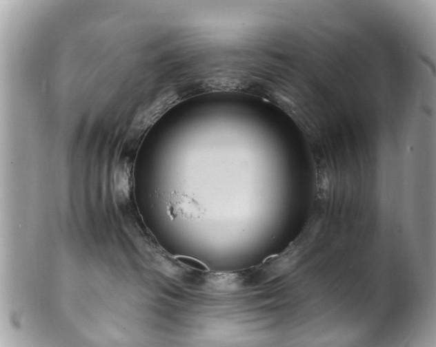 X0000101170334200807071227