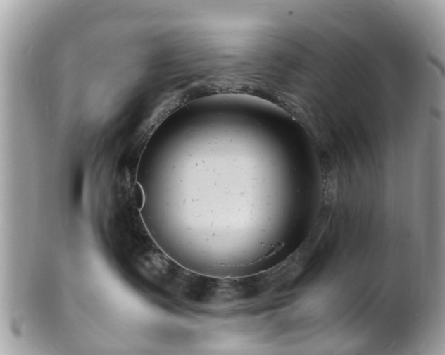 X0000101170335200807071227
