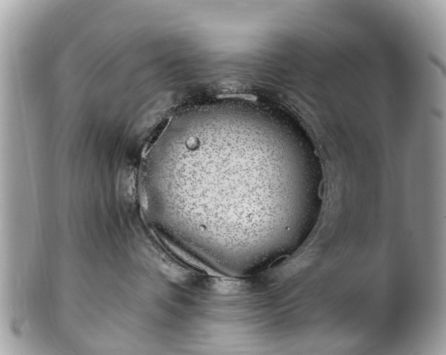 X0000101170336200807071227