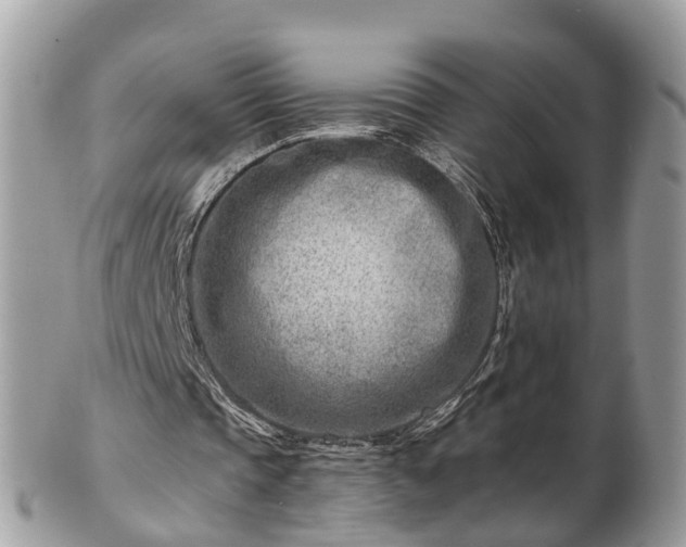X0000101170337200807071226
