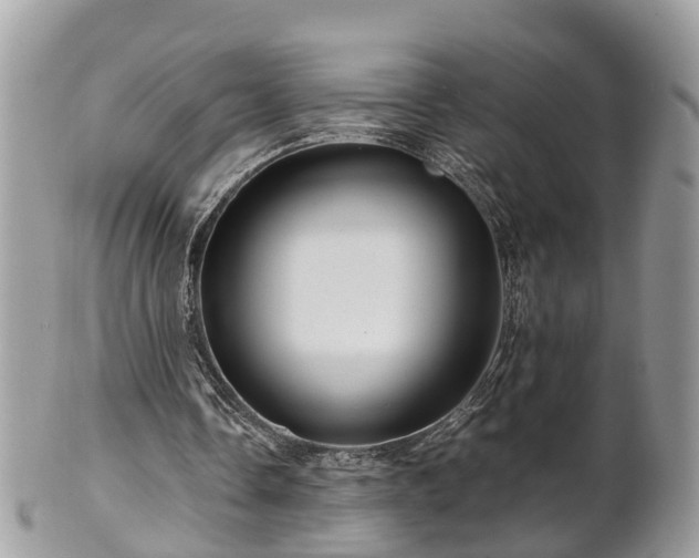 X0000101170338200807071226