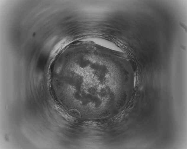 X0000101170339200807071226