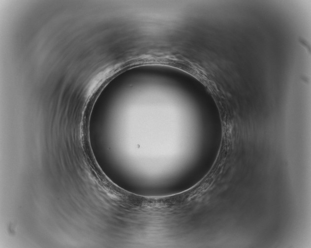 X0000101170340200807071226