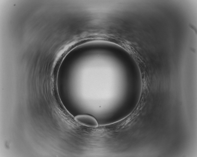 X0000101170342200807071226