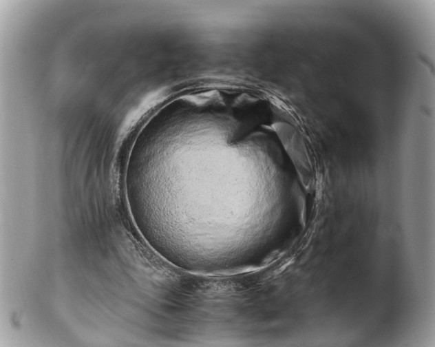 X0000101170343200807071226
