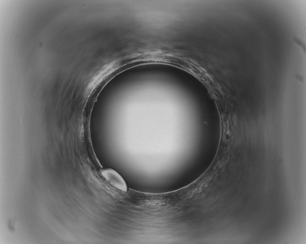X0000101170344200807071226