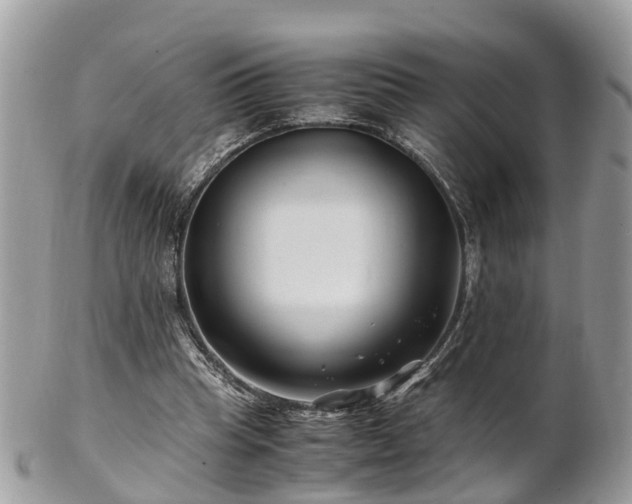 X0000101170345200807071226