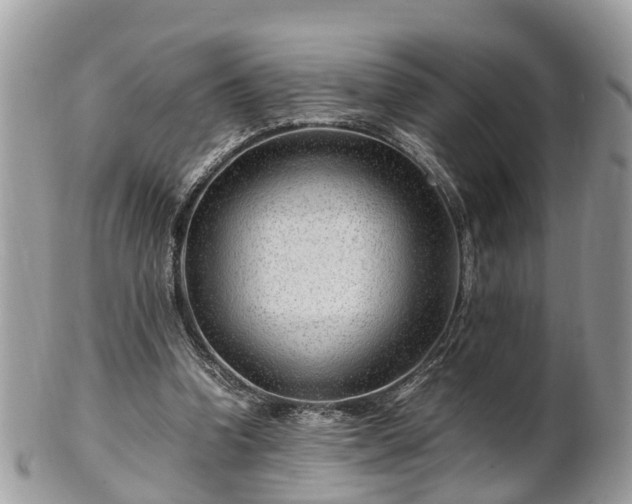 X0000101170346200807071226