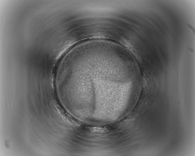 X0000101170347200807071226