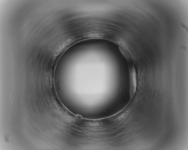 X0000101170349200807071226