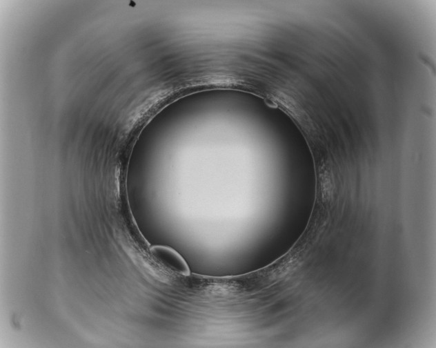 X0000101170350200807071226