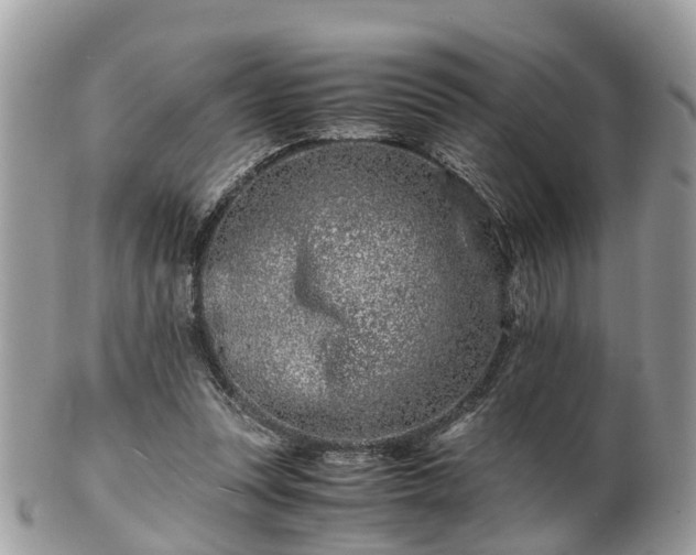 X0000101170351200807071227