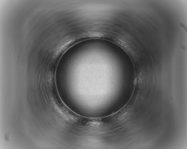 X0000101170352200807071227