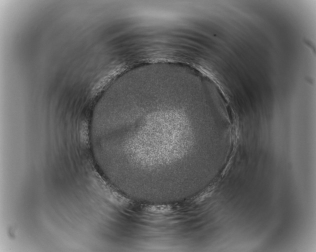 X0000101170353200807071227