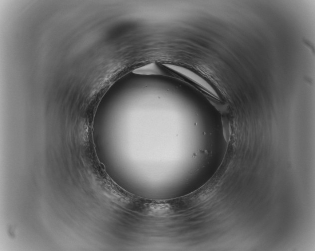 X0000101170355200807071227