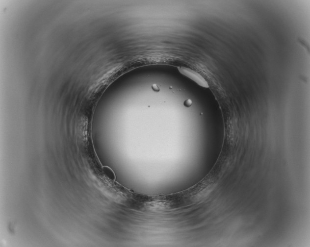 X0000101170356200807071227