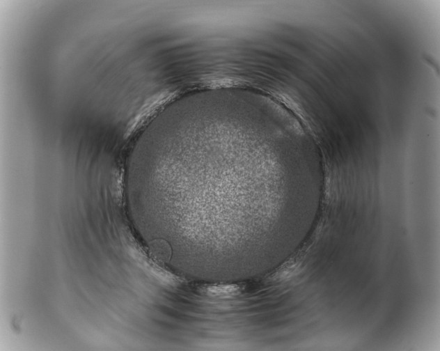 X0000101170357200807071227