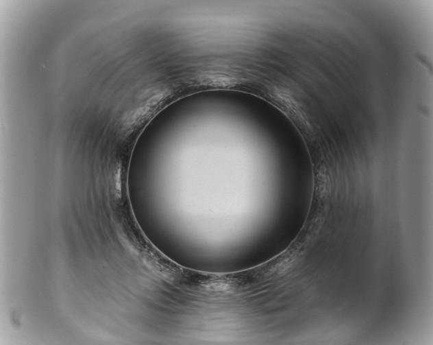 X0000101170358200807071227