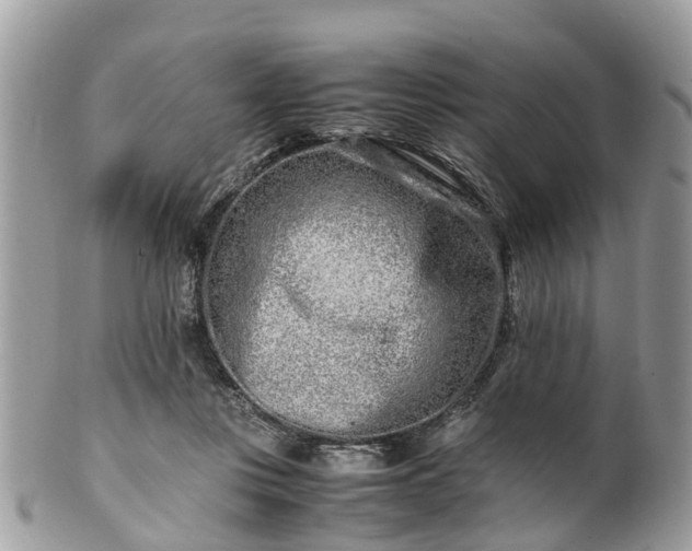 X0000101170359200807071227