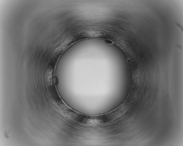 X0000101170360200807071227