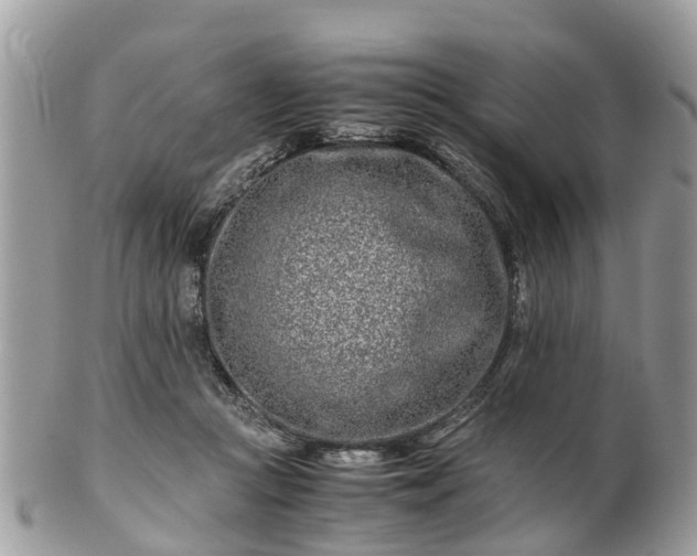 X0000101170361200807071227