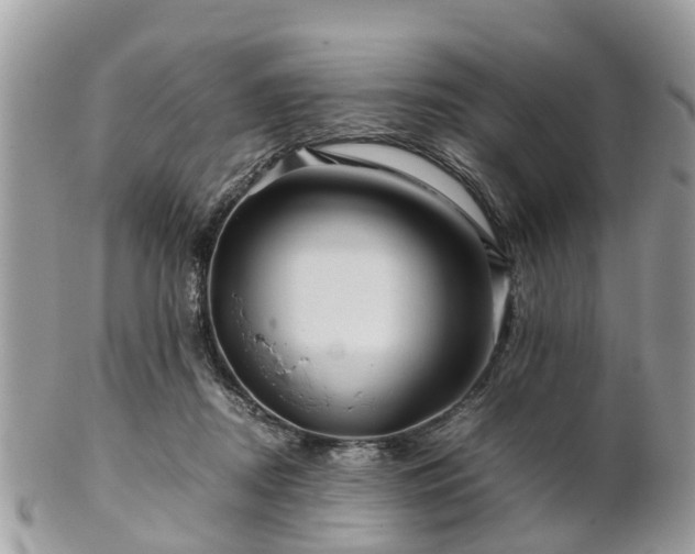 X0000101170362200807071227