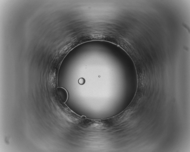 X0000101170364200807071227