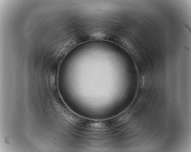 X0000101170365200807071227