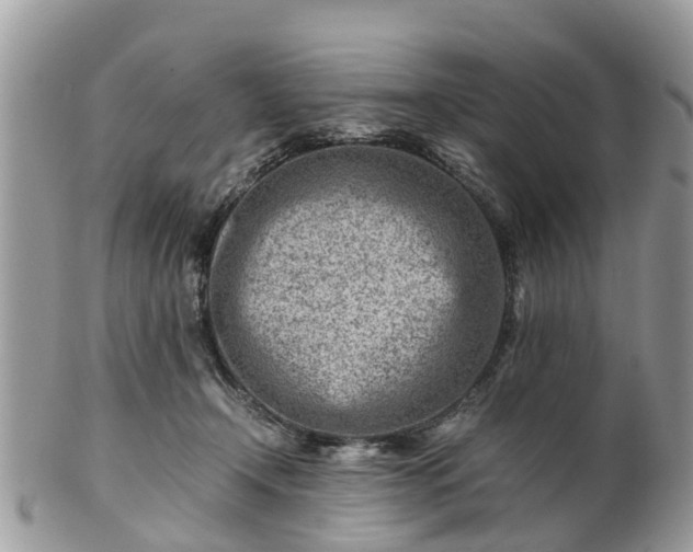 X0000101170366200807071227