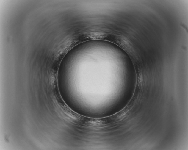X0000101170367200807071227