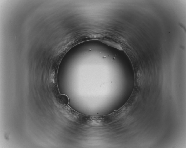 X0000101170368200807071227