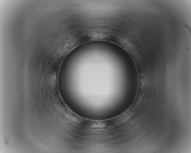 X0000101170369200807071227