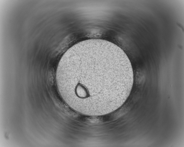X0000101170370200807071227