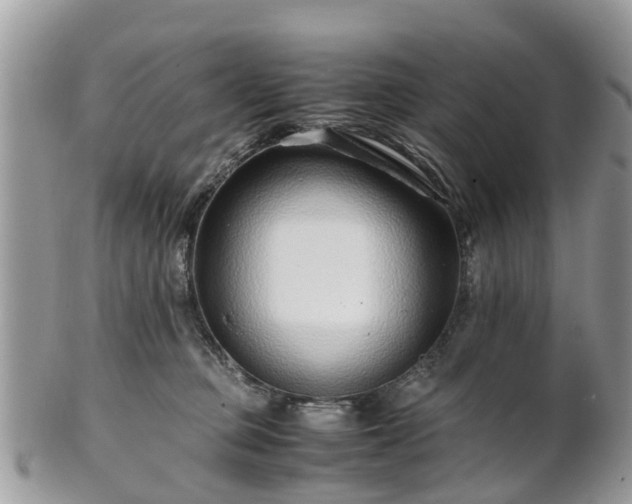 X0000101170373200807071227