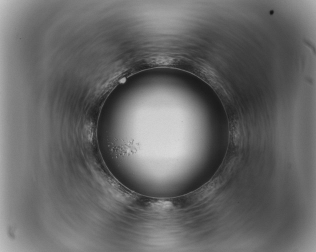 X0000101170374200807071227