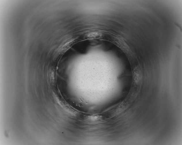 X0000101170375200807071227