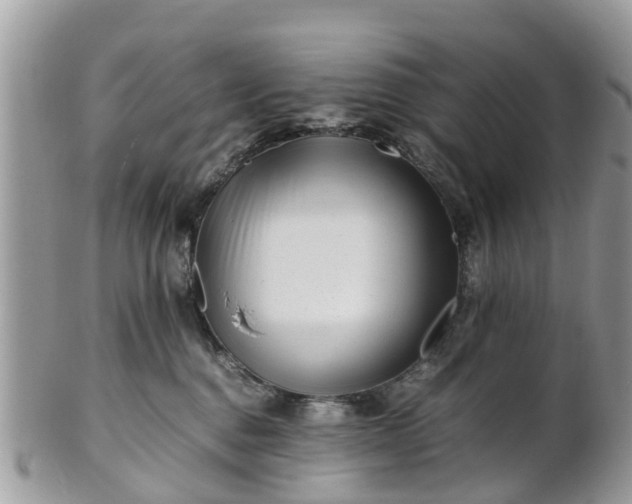 X0000101170376200807071227