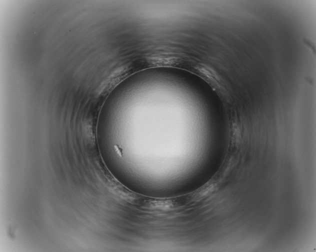 X0000101170377200807071227