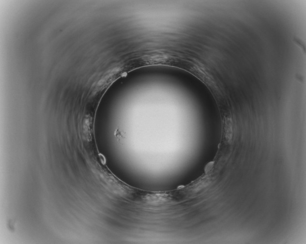 X0000101170378200807071227