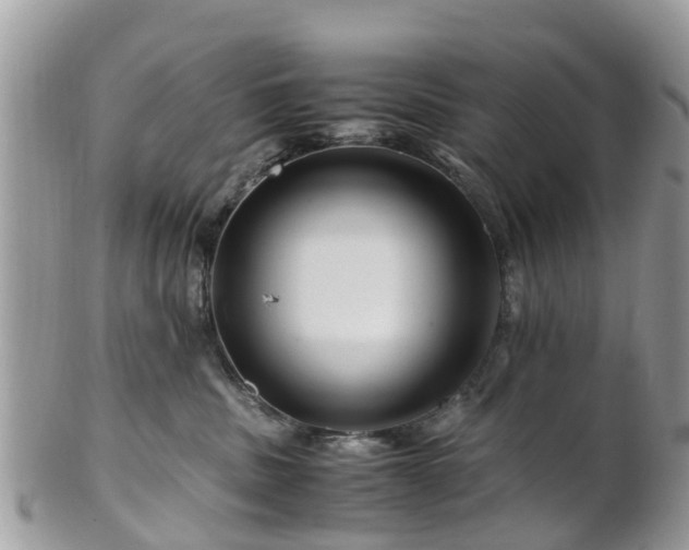 X0000101170379200807071227