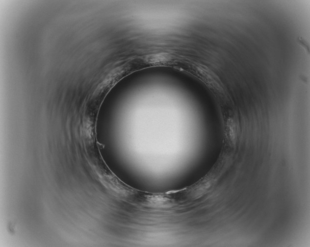 X0000101170380200807071227