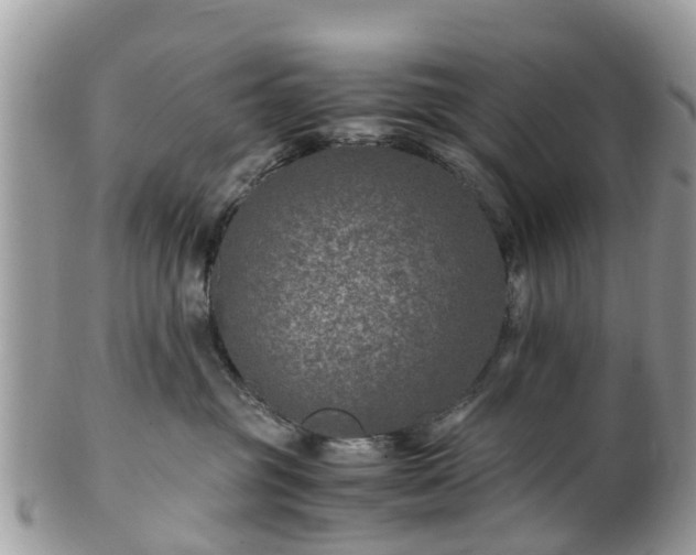 X0000101170381200807071227