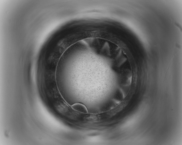 X0000101170383200807071227